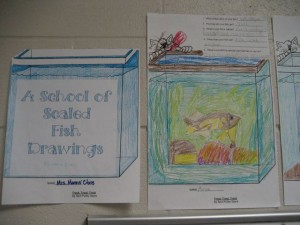scaled fish drawings