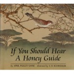 sayre_honeyguide
