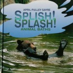 sayre_splishsplash