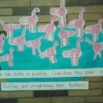 school-displays-splish-spla