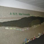 16 foot crocodile Crocodile in full scale!