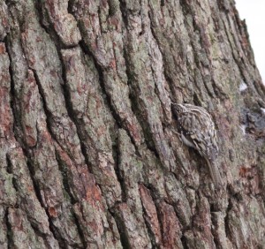 IMG_2774 IMG_2774