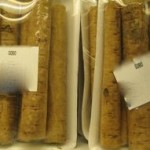 Gobo or burdock root