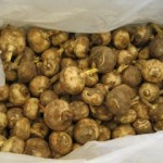 unknown root