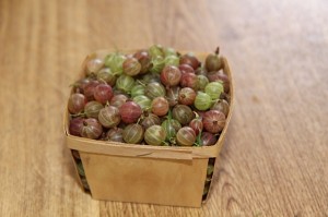 gooseberries