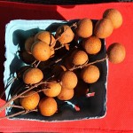 Chinese longyan fruit, also called "dragon eyes"
